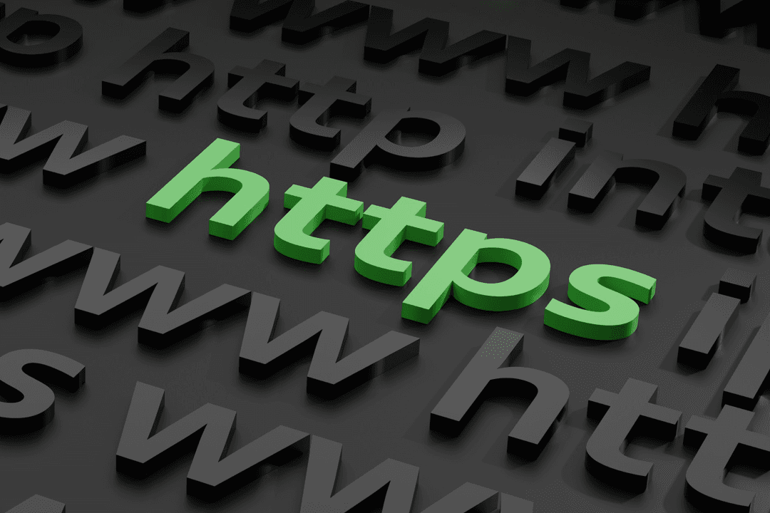 Domain & Hosting Management