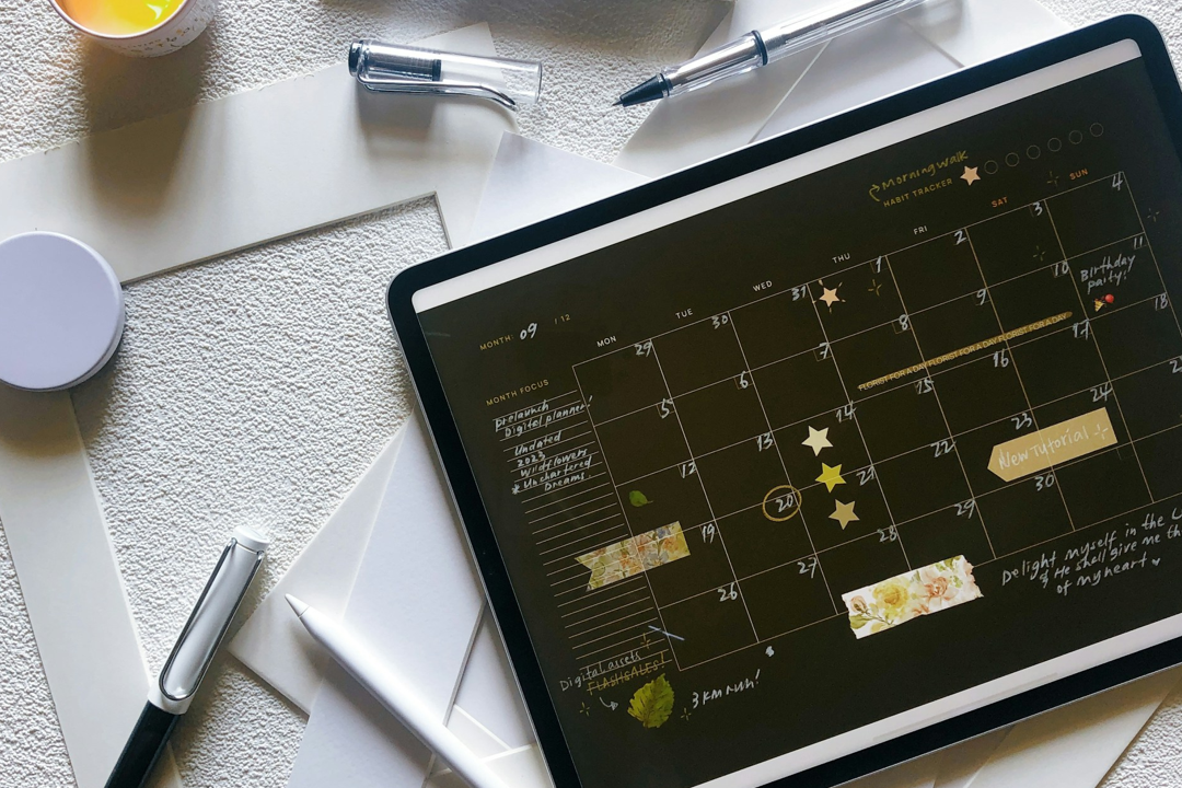 Support Plan Development